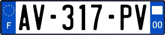 AV-317-PV