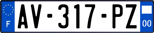 AV-317-PZ