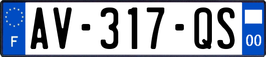 AV-317-QS