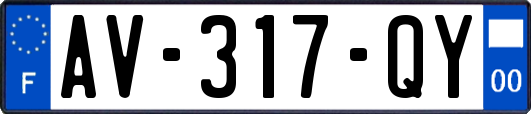 AV-317-QY