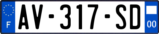 AV-317-SD