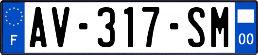 AV-317-SM