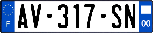 AV-317-SN