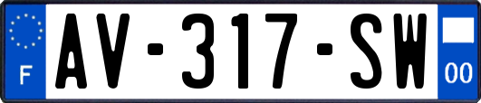 AV-317-SW