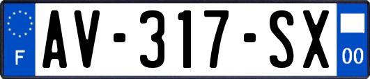 AV-317-SX