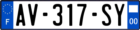 AV-317-SY