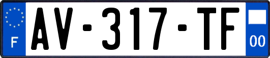 AV-317-TF