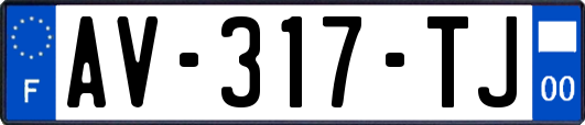 AV-317-TJ