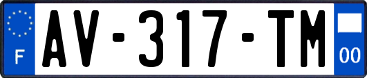 AV-317-TM