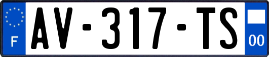 AV-317-TS