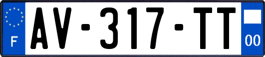 AV-317-TT