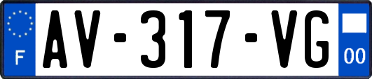 AV-317-VG