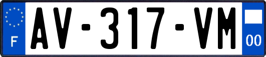 AV-317-VM