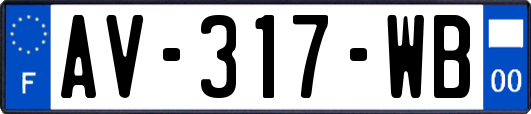 AV-317-WB