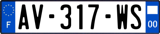 AV-317-WS