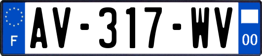 AV-317-WV