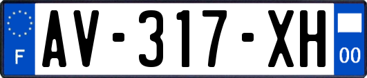 AV-317-XH