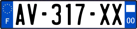 AV-317-XX