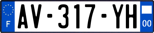 AV-317-YH
