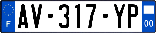 AV-317-YP