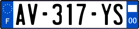 AV-317-YS