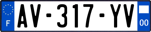 AV-317-YV