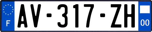 AV-317-ZH