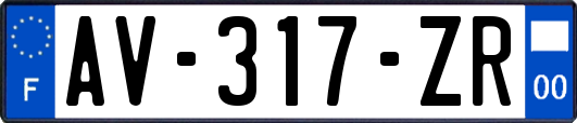 AV-317-ZR