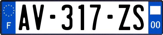 AV-317-ZS