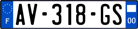 AV-318-GS