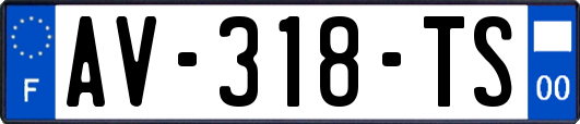 AV-318-TS