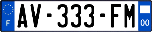 AV-333-FM