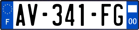 AV-341-FG