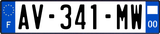 AV-341-MW