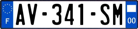 AV-341-SM