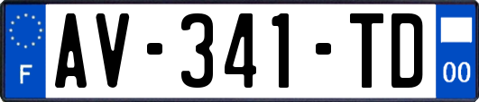 AV-341-TD