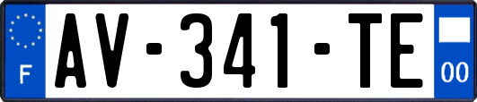 AV-341-TE
