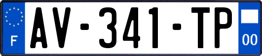 AV-341-TP