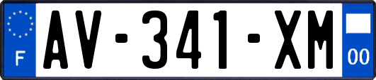 AV-341-XM