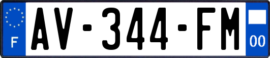 AV-344-FM