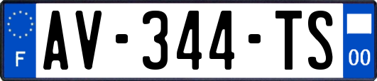 AV-344-TS
