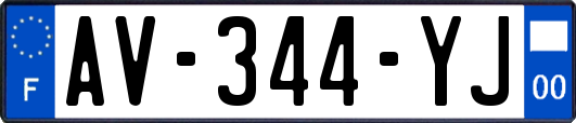 AV-344-YJ