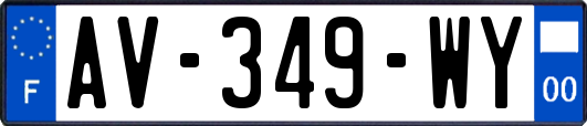 AV-349-WY
