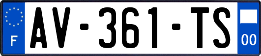 AV-361-TS
