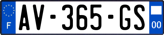 AV-365-GS