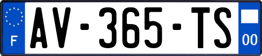 AV-365-TS