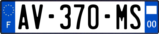AV-370-MS