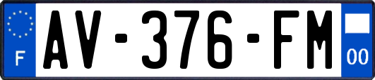 AV-376-FM