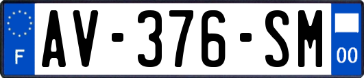 AV-376-SM