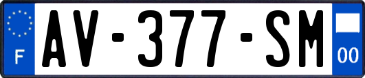 AV-377-SM